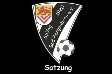 Satzung