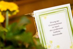 Ehrenamtspreis Reiner Schmidt