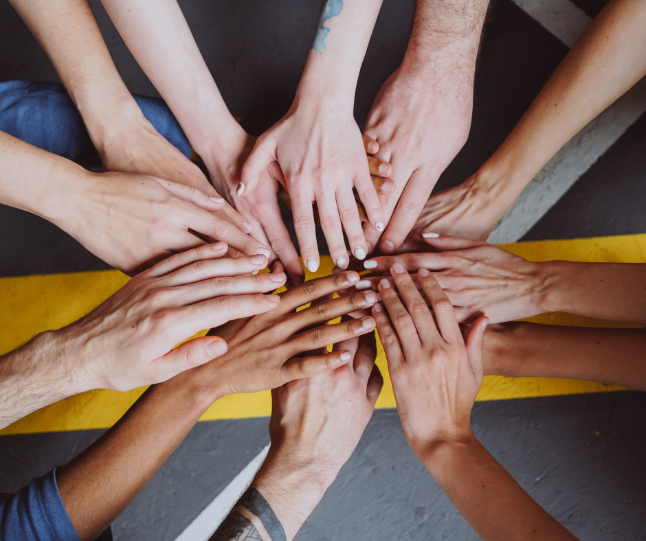 Vorstandschaft Spielvereinigung Bad Bergzabern